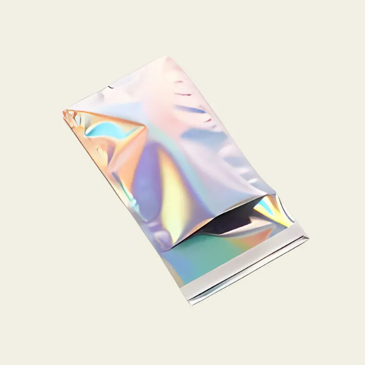 Mylar Envelope