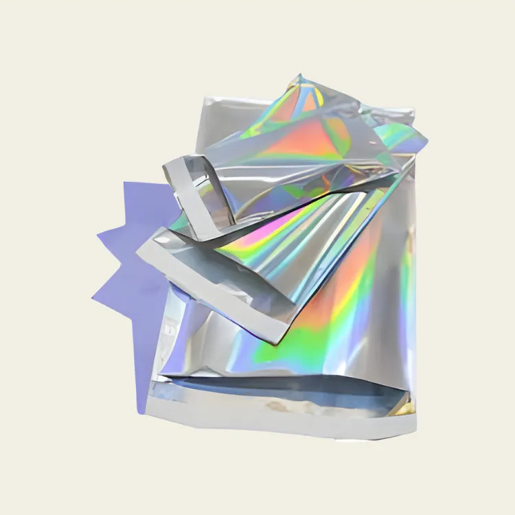 Mylar Envelope