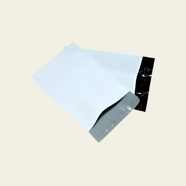 Mylar Envelope