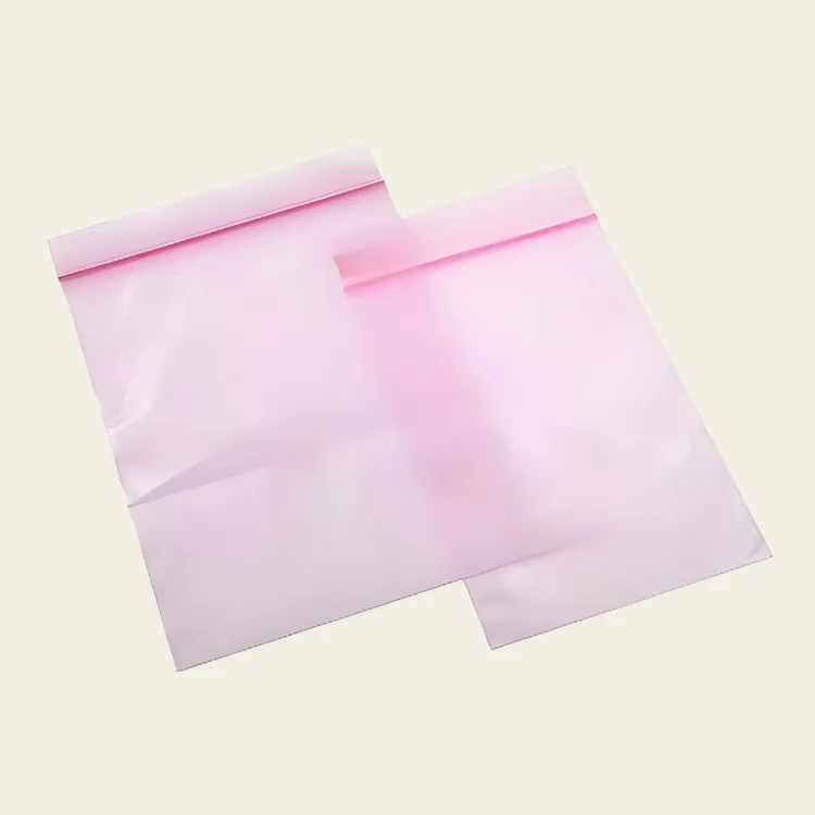 Mylar Envelope