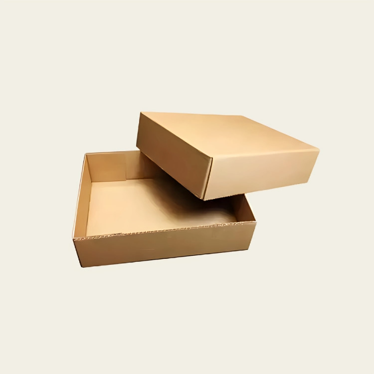 Corrugated Box with Lids