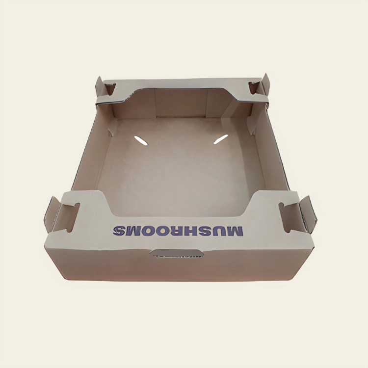 Mushroom Packaging