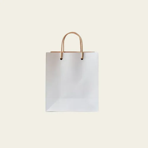 Paper Shopping Bags