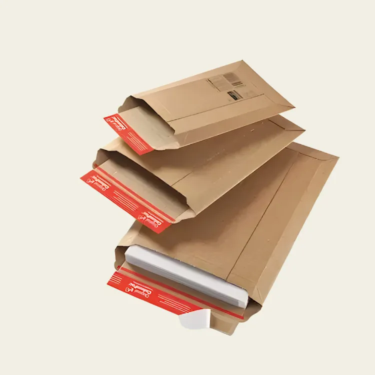 Rigid Mailers