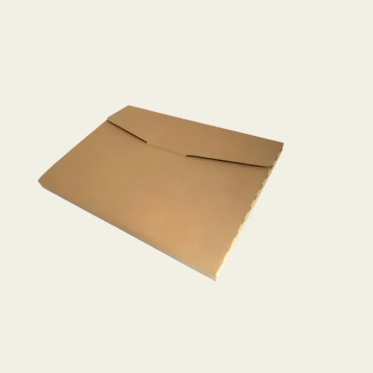 Rigid Mailers