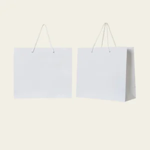 Custom Paper Bags