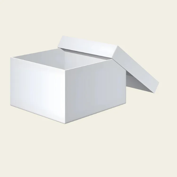 White Cardboard Boxes