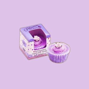 Cupcake Boxes
