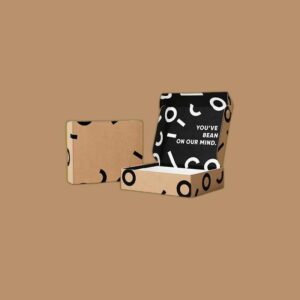 Ecommerce Shipping Box