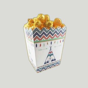 Popcorn Boxes