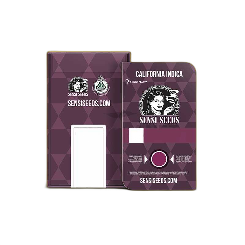 Custom Hemp Seed Boxes