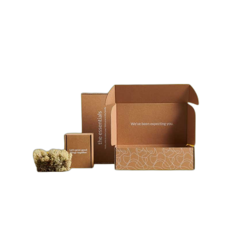 Custom Household Boxes in Bulk