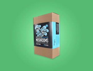 Retail Boxes