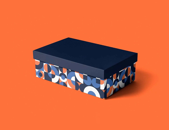 Shoe Foldable Box