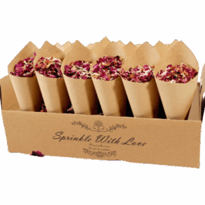 Food Paper Cones